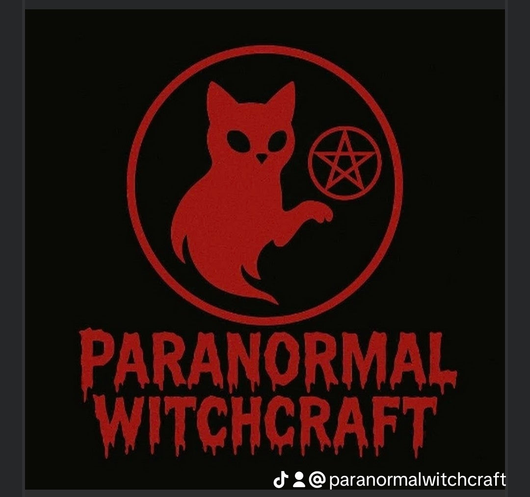 Paranormal Witchcraft Acrylic Cup, Cute Cat Drink Tumbler, Halloween Party Mug, Gift for Witches, Reusable Straw Cup